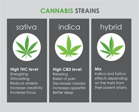 indica flower|Sativa vs. Indica vs. Hybrid: Chart, Different Use, .